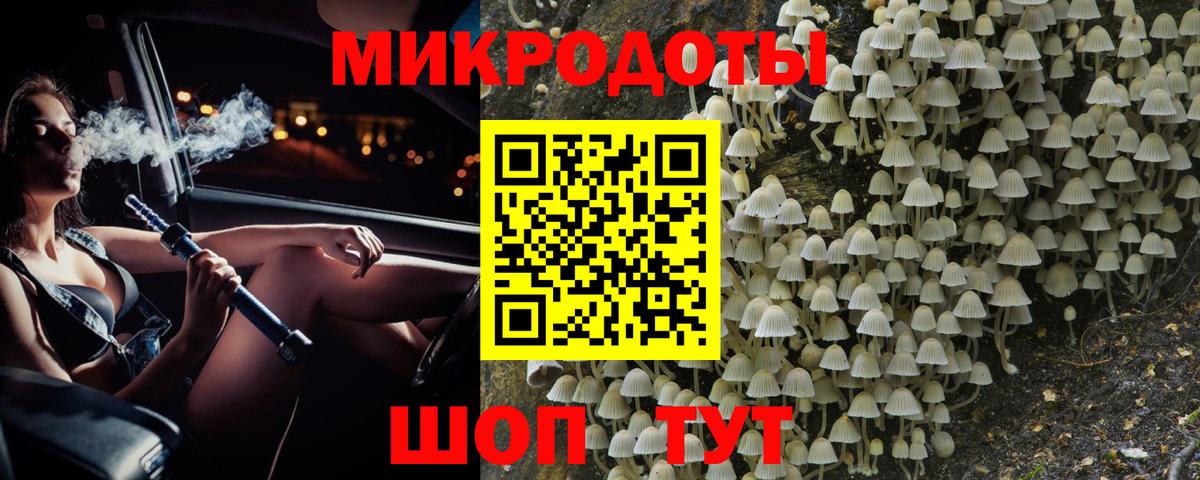 Волхов  Псилоцибиновые грибы Cubensis  Вход с VPN 